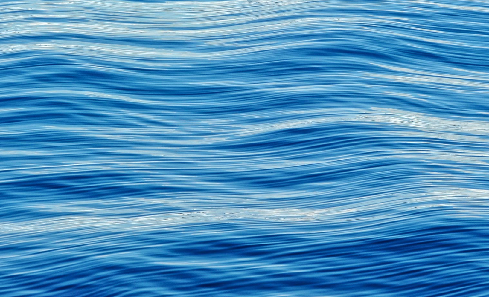 The Complete Guide to Blue Ocean Strategy